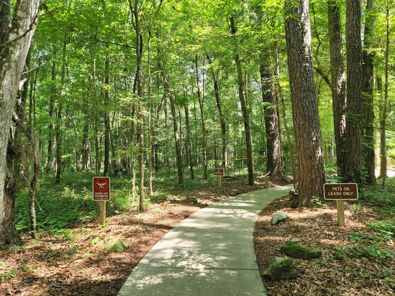 Picnic Tables, Restrooms, and Easy Comforts