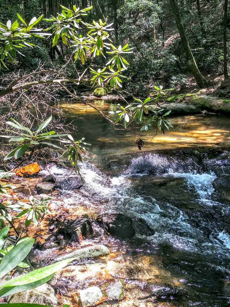 Picnic spots keep lunch simple and cheap Picnic spots keep lunch simple and cheap