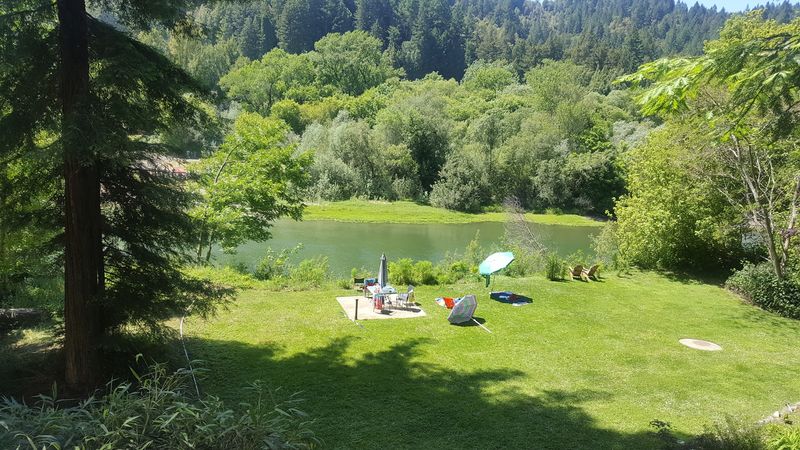 Picnics, Barbecues, and Group Days Out