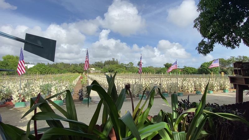 Planning Your Visit: Hours, Cash, and Timing