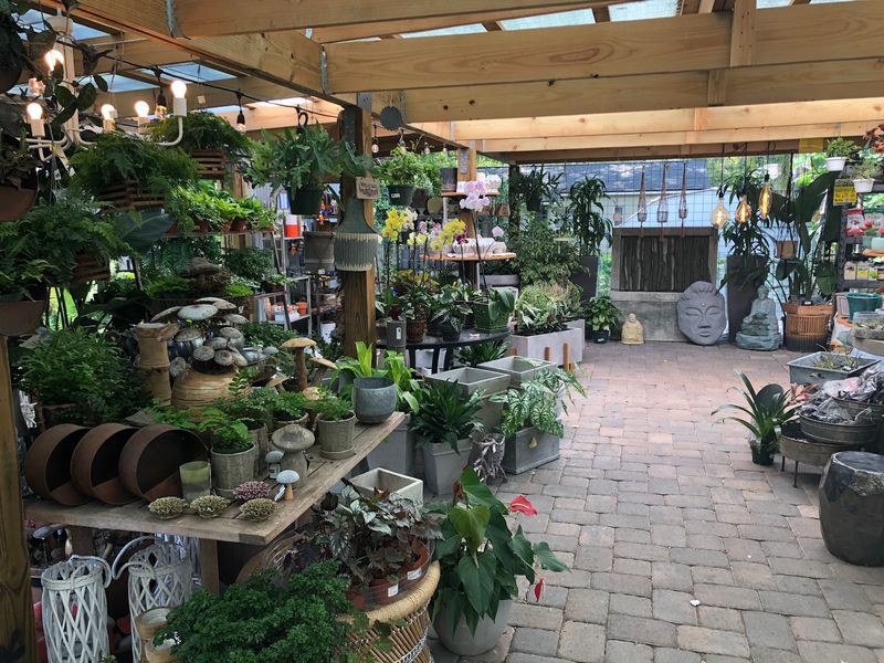 Plant Advice Without the Hovering