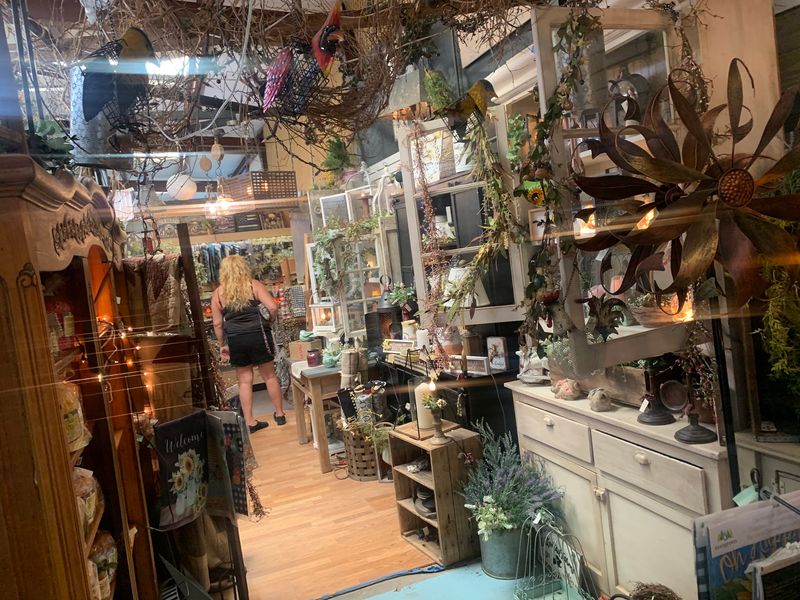 Plants, Honey, and Garden Finds