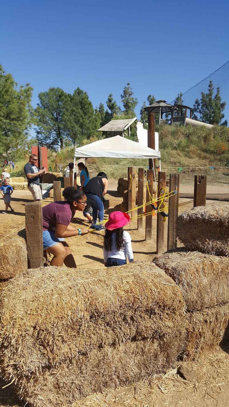 Playgrounds, Bounce Pillows, And A Ropes Course Playgrounds, Bounce Pillows, And A Ropes Course