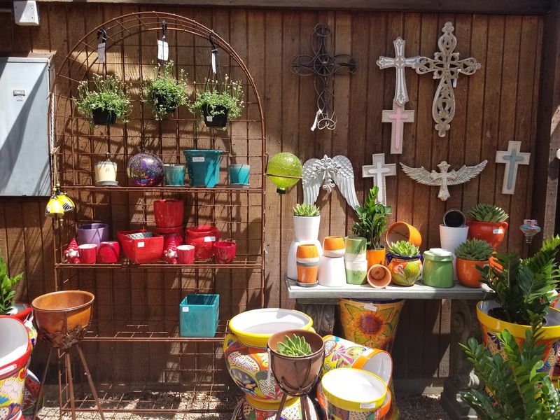 Pots, Planters, and Playful Decor