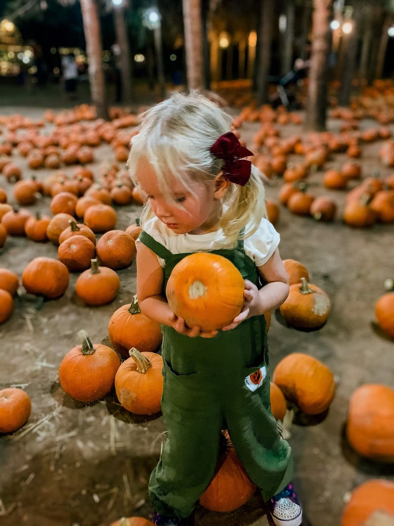 Pumpkins You Actually Get to Take Home Pumpkins You Actually Get to Take Home