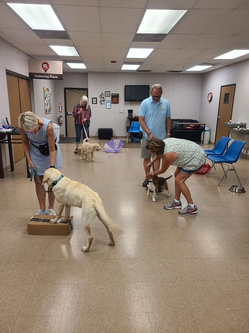 Puppy Classes With a Surprising Amount of Homework Puppy Classes With a Surprising Amount of Homework