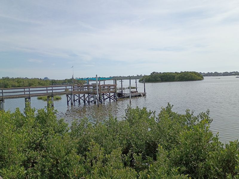 RV Sites and a Free Cart to Town
