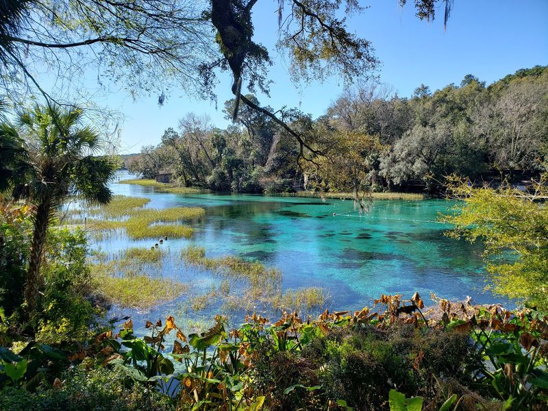 Rainbow Springs State Park, Dunnellon, FL