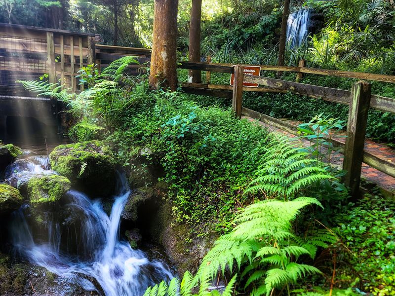 Rainbow Springs State Park, Dunnellon, FL Rainbow Springs State Park, Dunnellon, FL