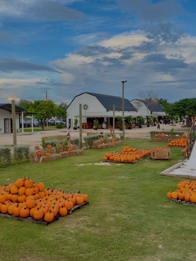 Redland offers a fall farm outing, not a patch-free zone Redland offers a fall farm outing, not a patch-free zone