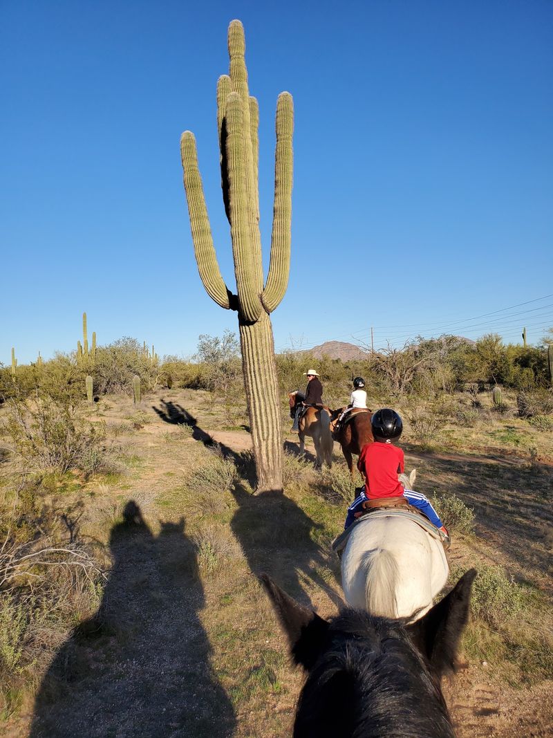Riding Through Cactus Country Riding Through Cactus Country