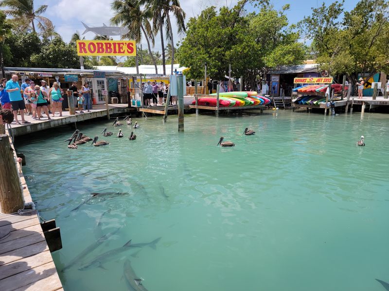 Robbie's of Islamorada, Islamorada, FL
