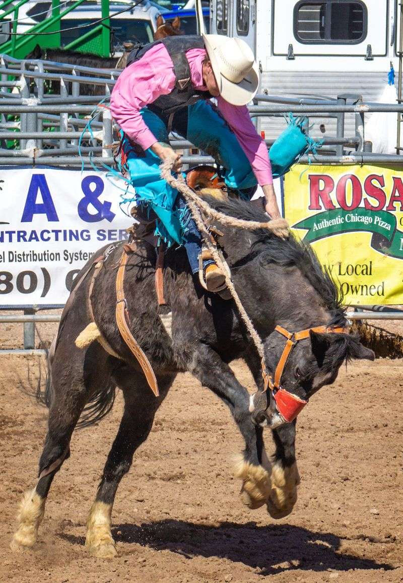 Rodeo Weekends Bring The Cowboys Rodeo Weekends Bring The Cowboys