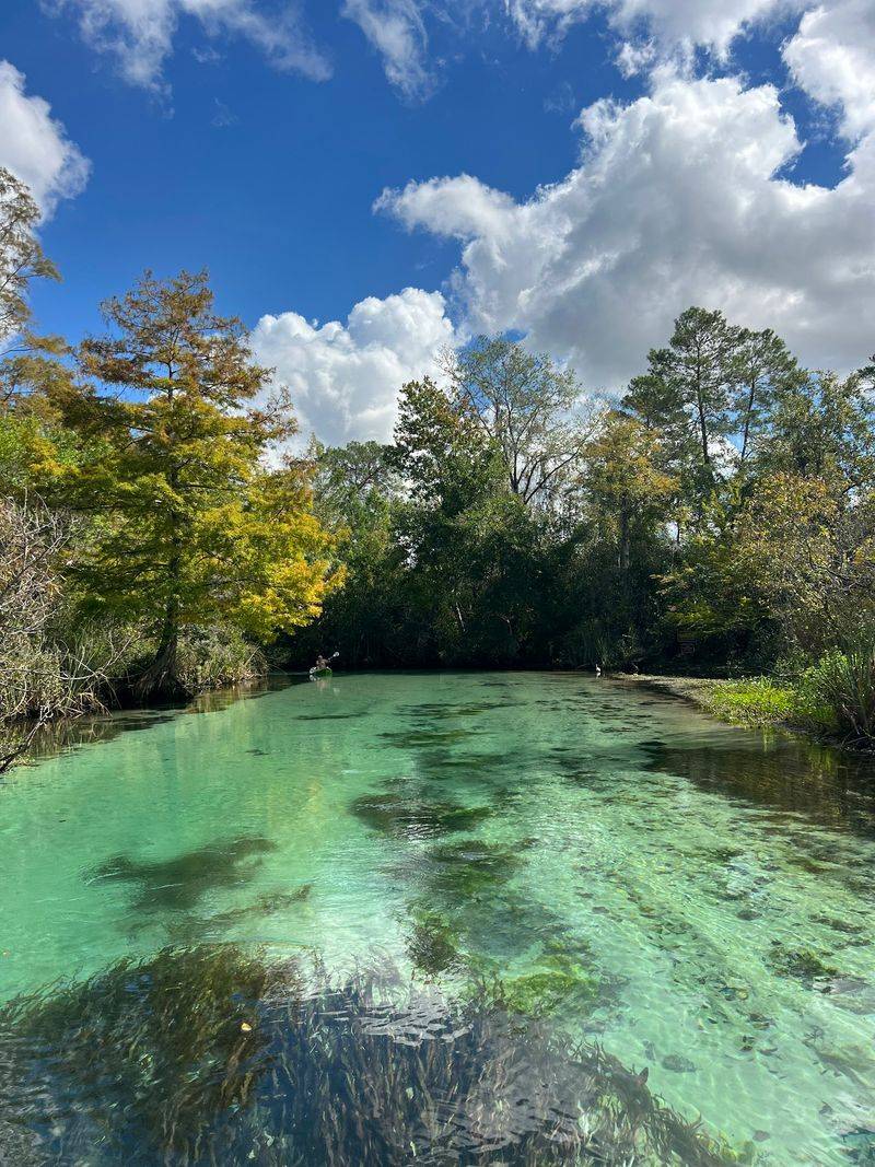 Roger's Park, Spring Hill, FL Roger's Park, Spring Hill, FL