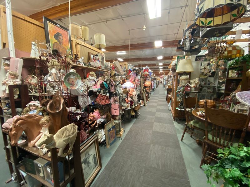 Room Enough To Roll A Cart For Hours