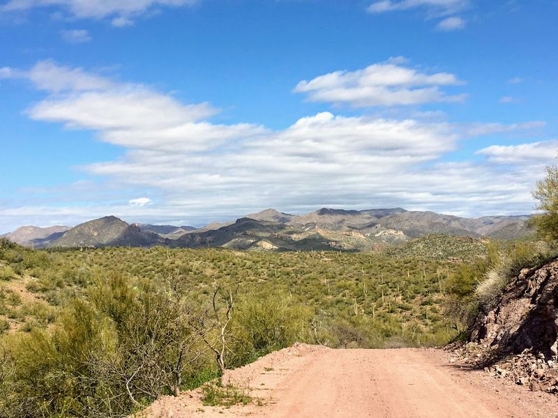 Room To Roam In The Open Desert