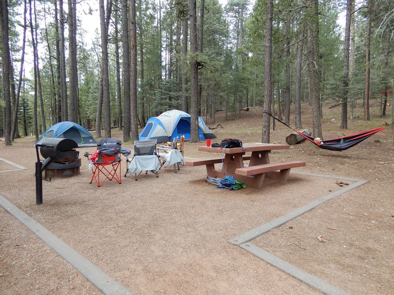 Roomy Sites Built For Comfort Roomy Sites Built For Comfort