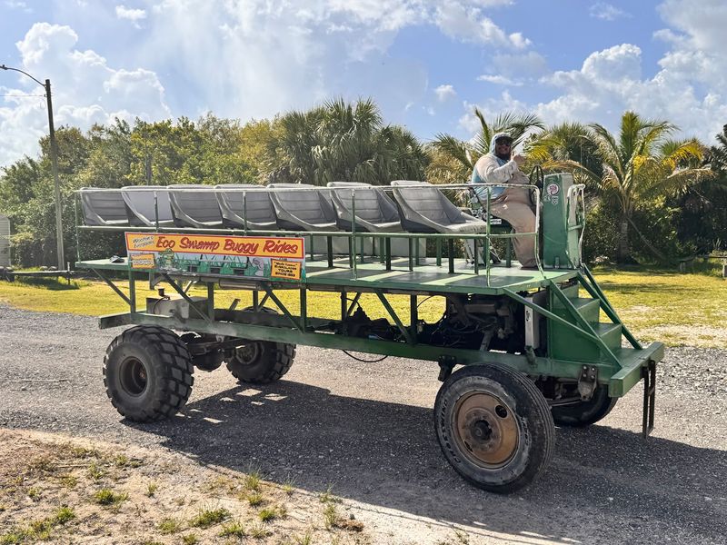 Rumbling Through Jungle on a Swamp Buggy