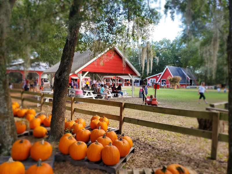 Santa’s Farm & Christmas Tree Forest, Eustis, FL Santa’s Farm & Christmas Tree Forest, Eustis, FL