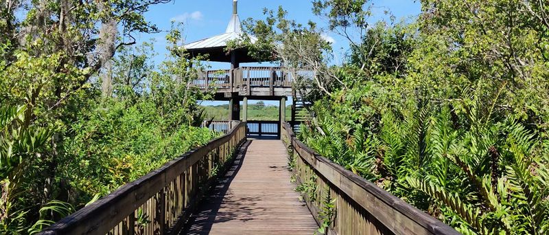 Sawgrass Lake Park, St. Petersburg, FL