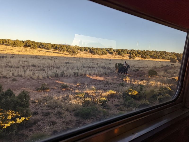 Scenery, Wildlife, and What You Actually See Scenery, Wildlife, and What You Actually See