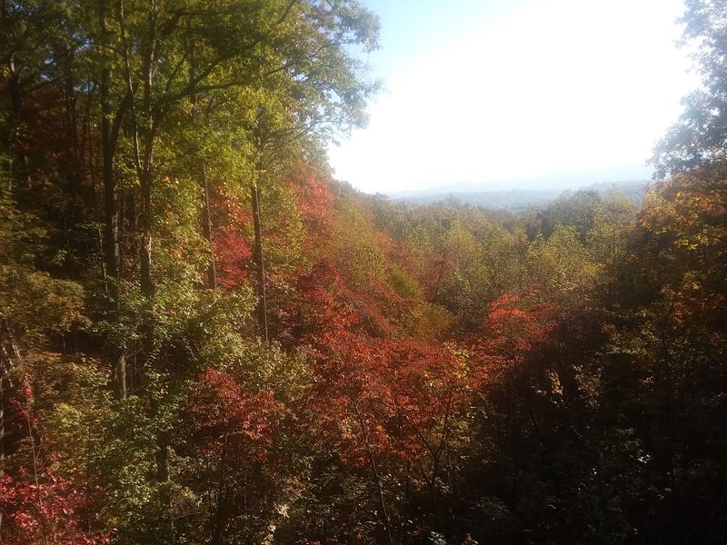Scenic mountain roads make the drive part of the fun Scenic mountain roads make the drive part of the fun