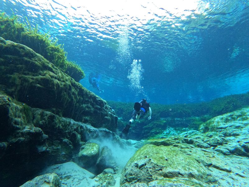 Scuba Diving in a Natural Spring Scuba Diving in a Natural Spring