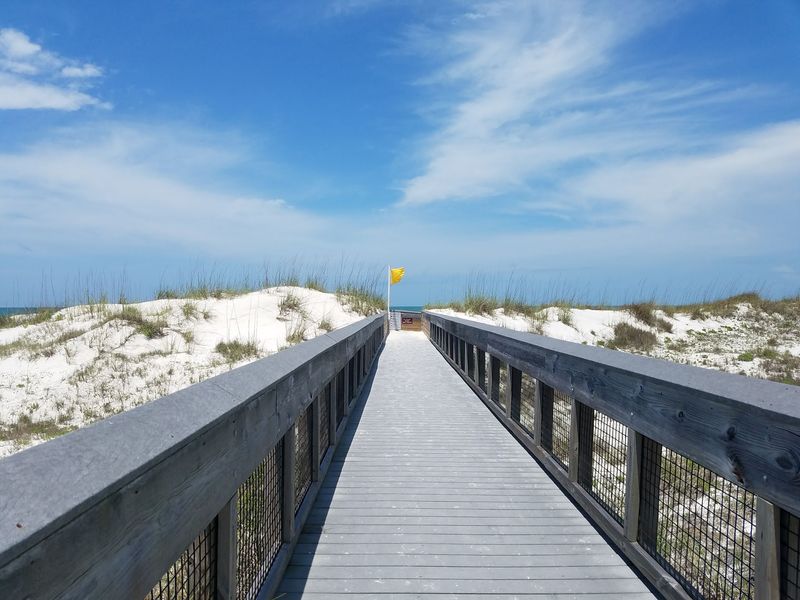 Sea Oat Dunes and Old Florida Scenery Sea Oat Dunes and Old Florida Scenery