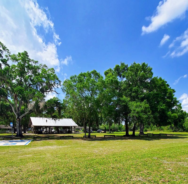 Shaded Grounds and Picnic Tables Shaded Grounds and Picnic Tables
