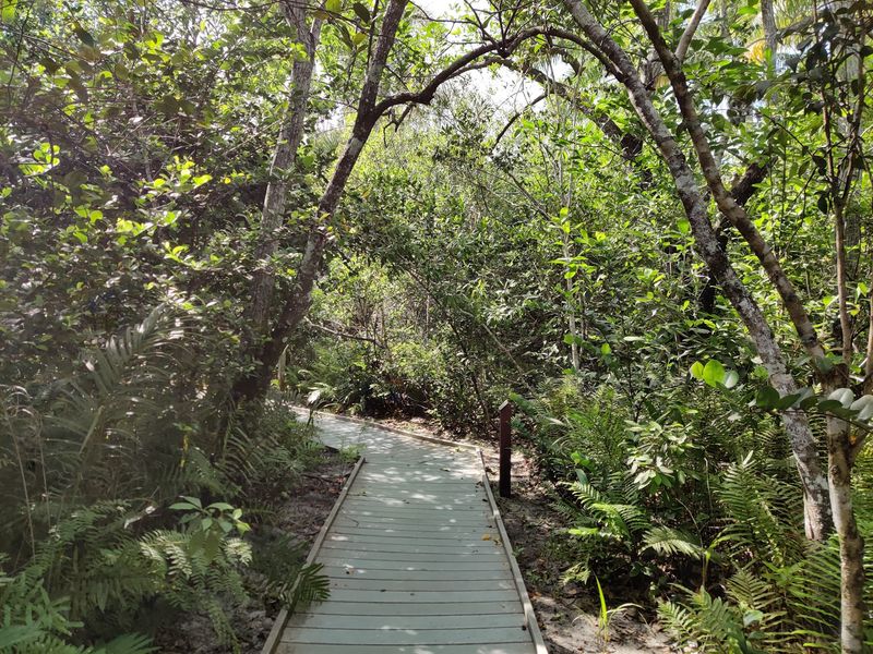 Short Trails Made for Easy Walking Short Trails Made for Easy Walking