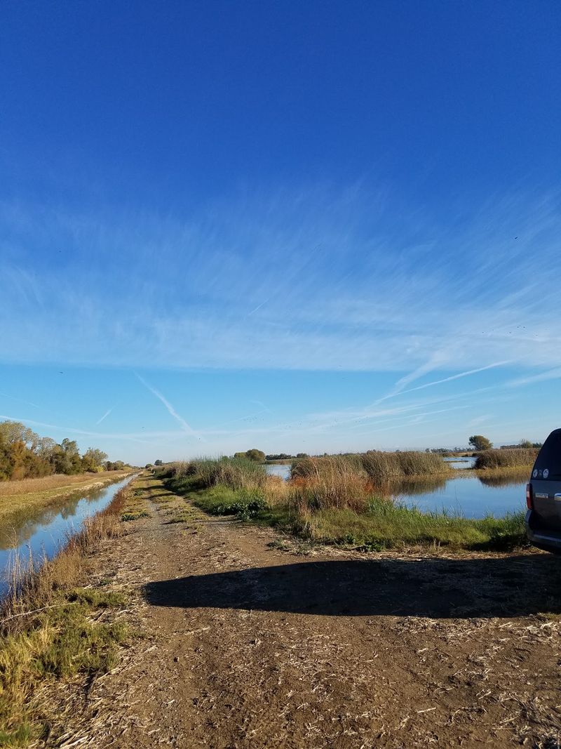 Short Trails and a Viewing Tower