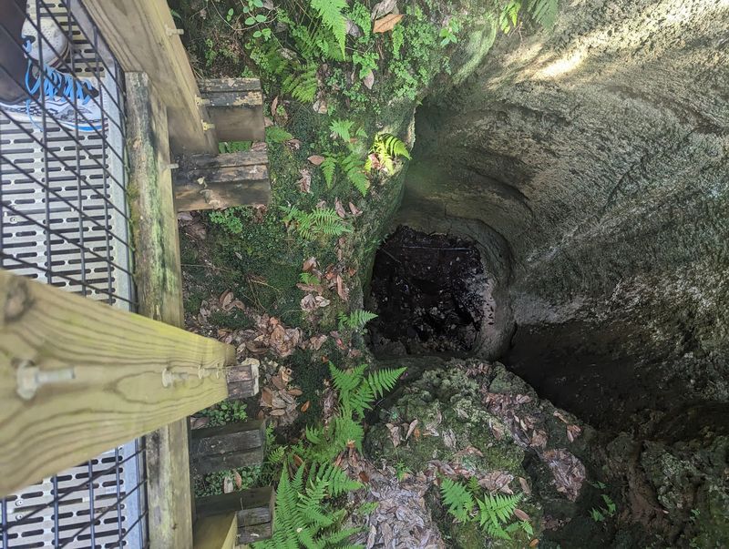 Sinkholes That Steal the Spotlight Sinkholes That Steal the Spotlight