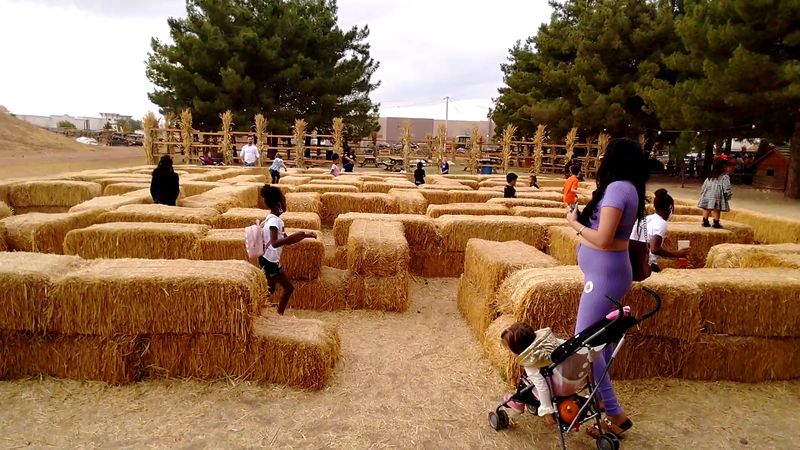 Slides, Corn Pits, and Bounce House Chaos Slides, Corn Pits, and Bounce House Chaos