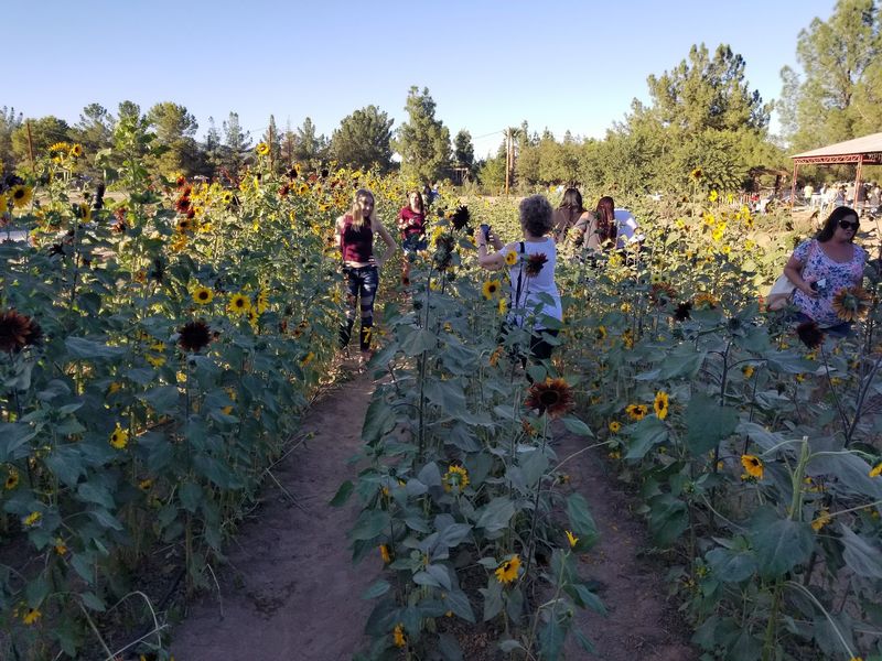 Smart Tips For Timing Your Visit Smart Tips For Timing Your Visit