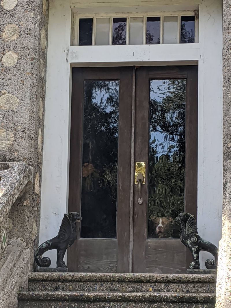 So Many Doors You Will Lose Count