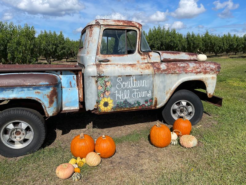Southern Hill Farms, Clermont, FL Southern Hill Farms, Clermont, FL