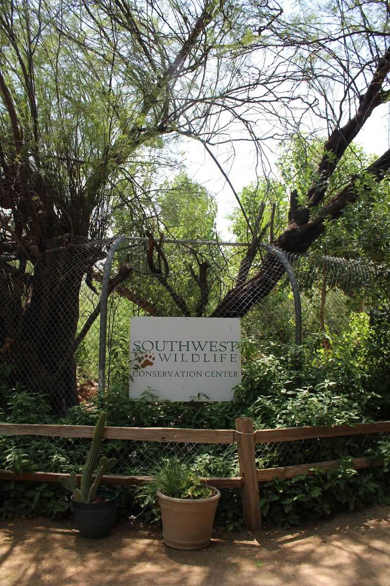 Southwest Wildlife Conservation Center, Scottsdale, AZ