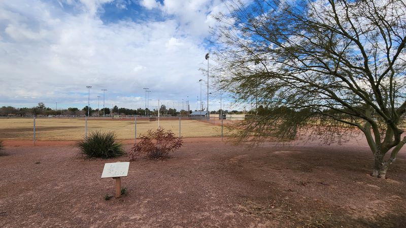 Sports Courts and Wide-Open Fields