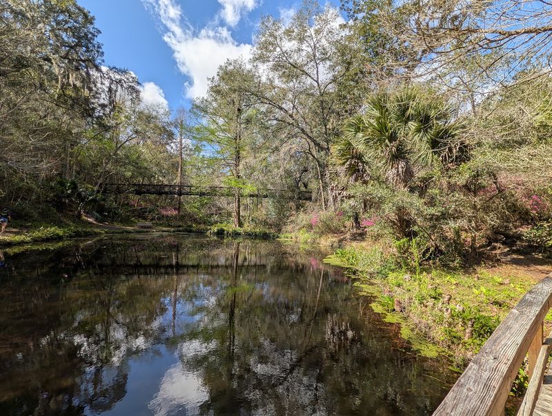Spring-Fed Streams and Fine White Sand