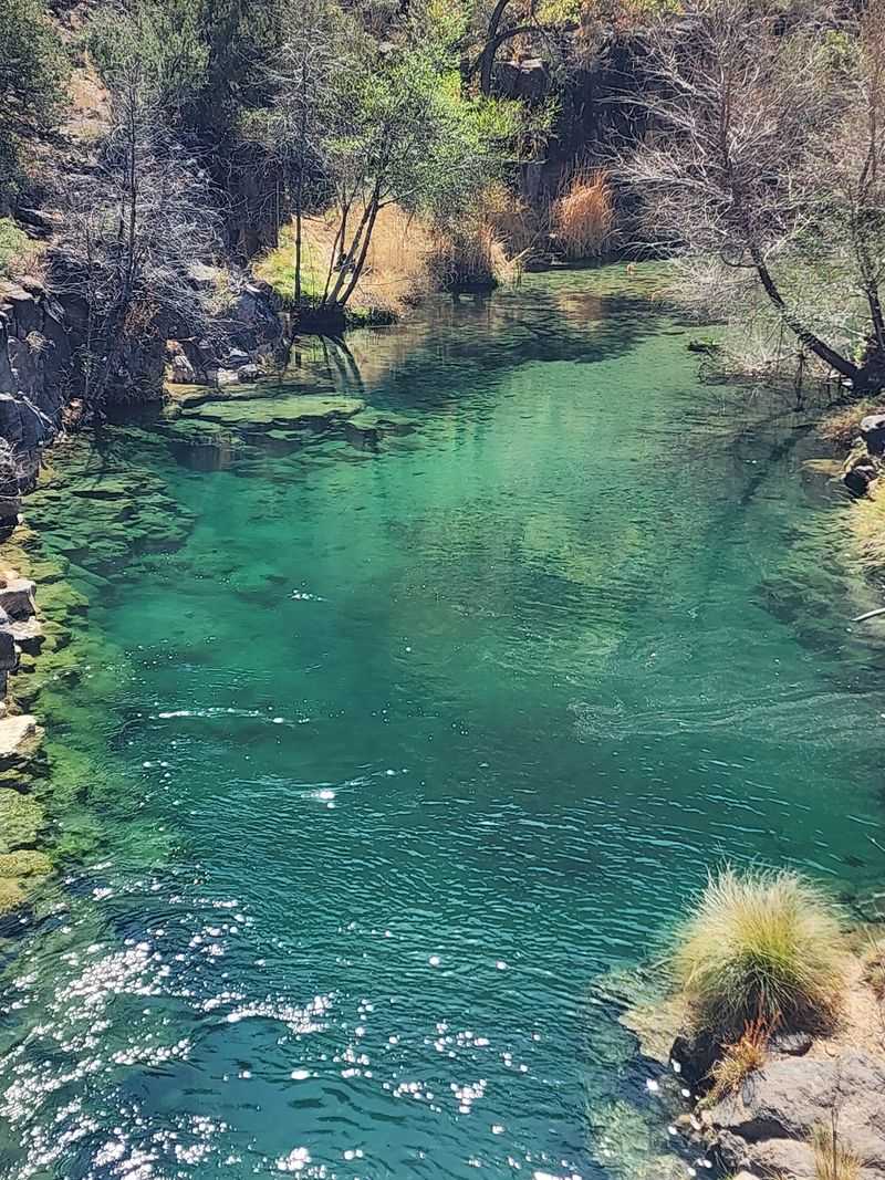Springs That Never Quit Flowing