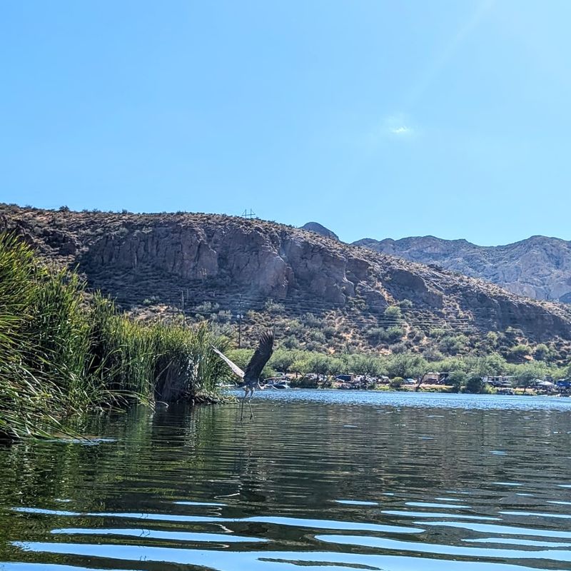Stand-Up Paddling Along the Shore