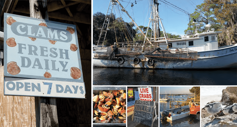 Steinhatchee provides credible seafood context without proving current sourcing Steinhatchee provides credible seafood context without proving current sourcing