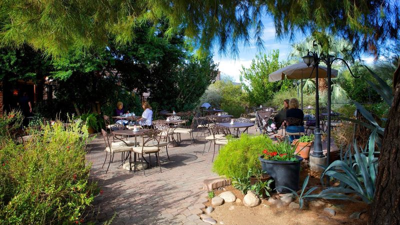 Streams, Fountains, and Shade in the Sonoran Streams, Fountains, and Shade in the Sonoran