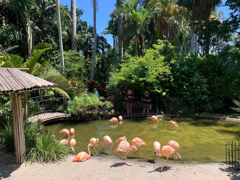Sunken Gardens, St. Petersburg, FL