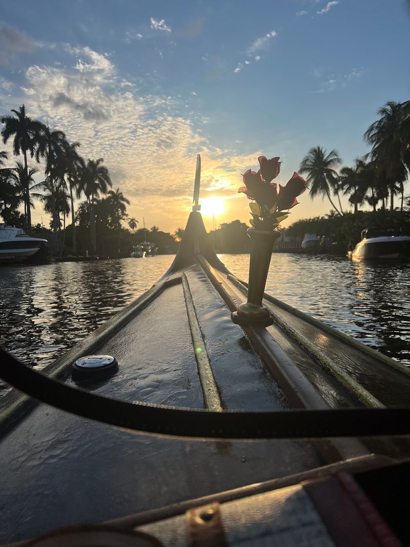 Sunset Cruises That Steal the Show