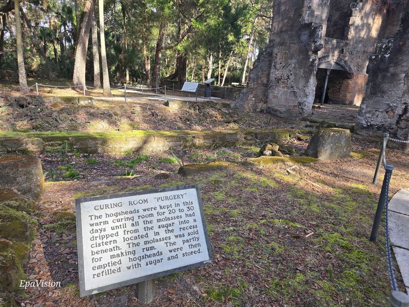 Tabby Slave Cabins Tucked in the Back