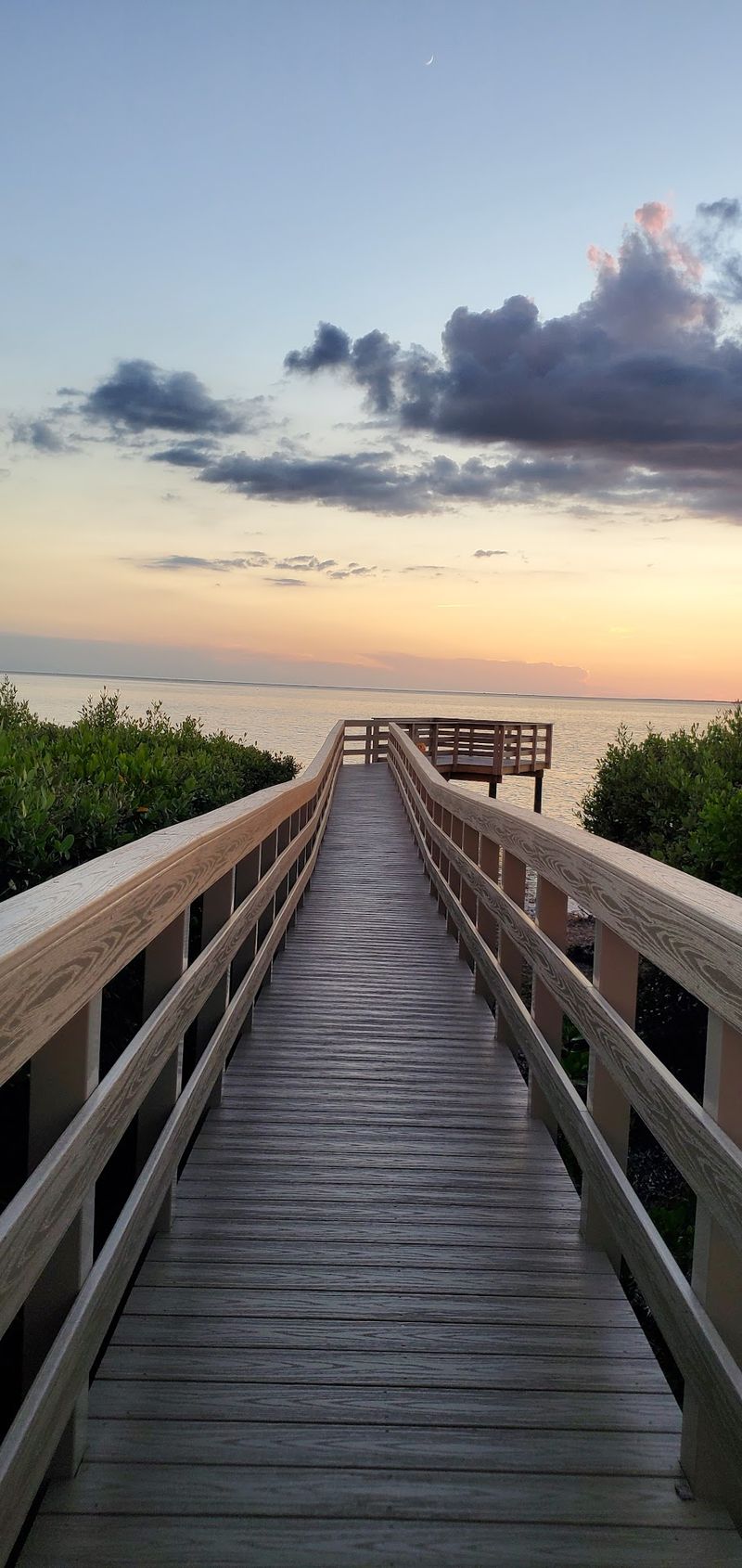 Tarpon Springs