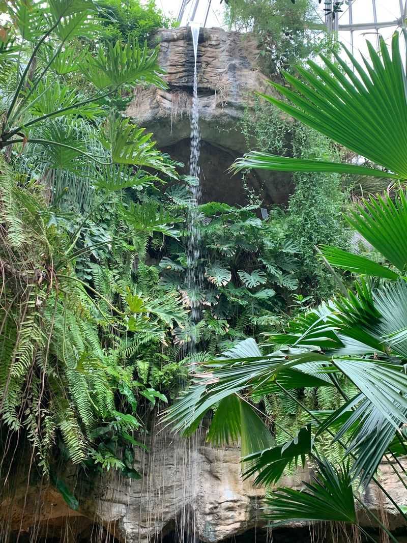 That 50-Foot Waterfall That 50-Foot Waterfall