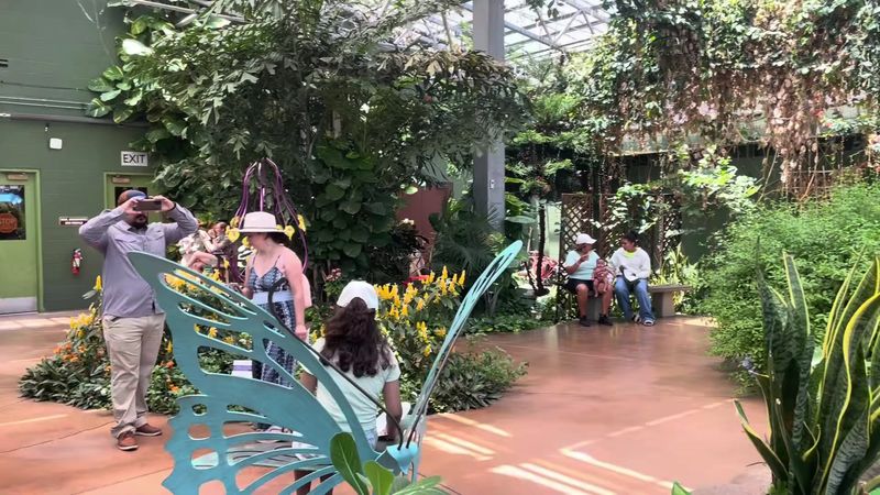 The Atrium Where Wings Take Over The Atrium Where Wings Take Over