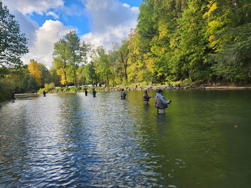 The Boat Launch at Elk Creek Access